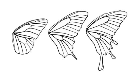 butterfly wings drawing